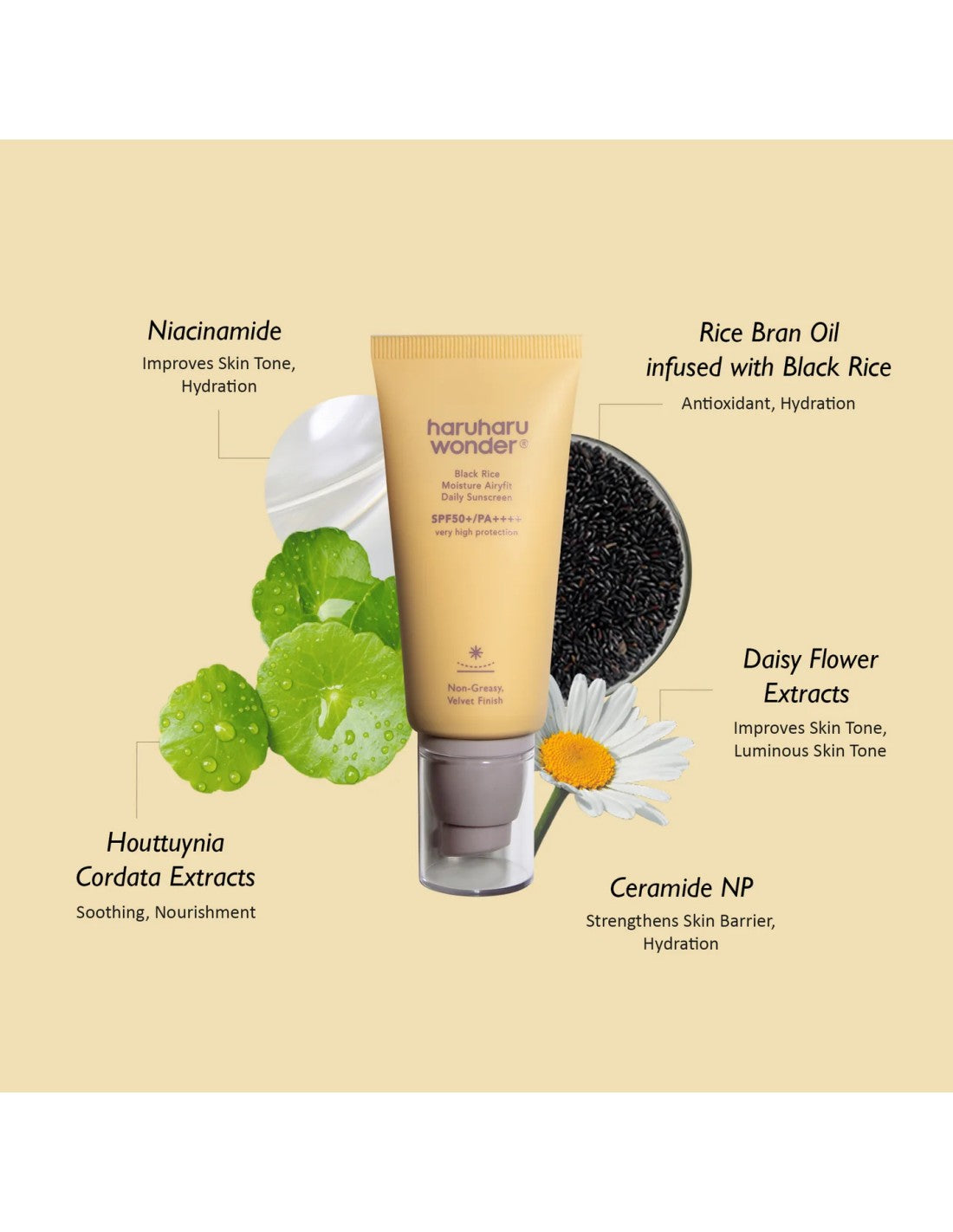 Black Rice Moisture Airyfit Daily Sunscreen Haruharu Wonder